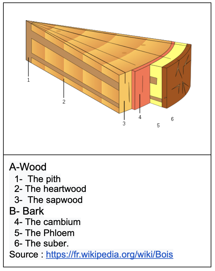 blueprint of a trunk composition